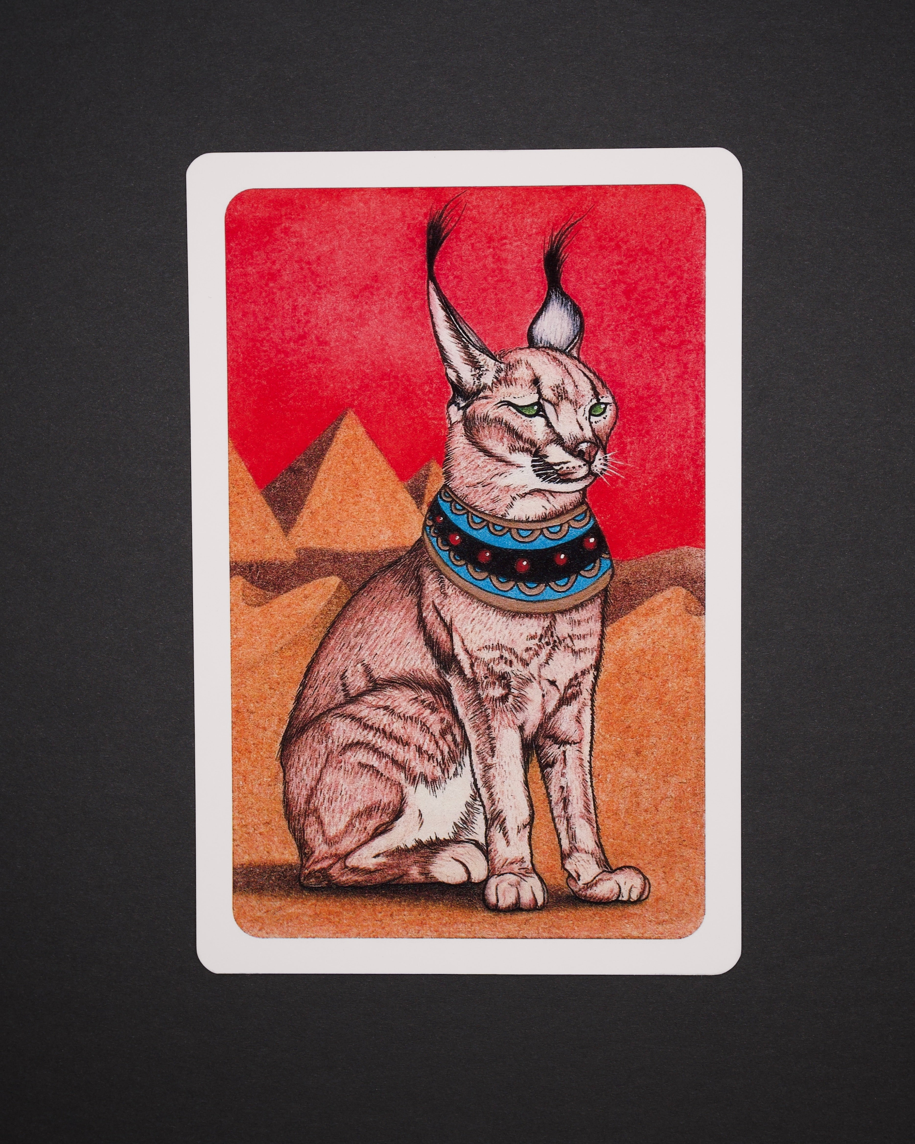 Caracal in Cairo