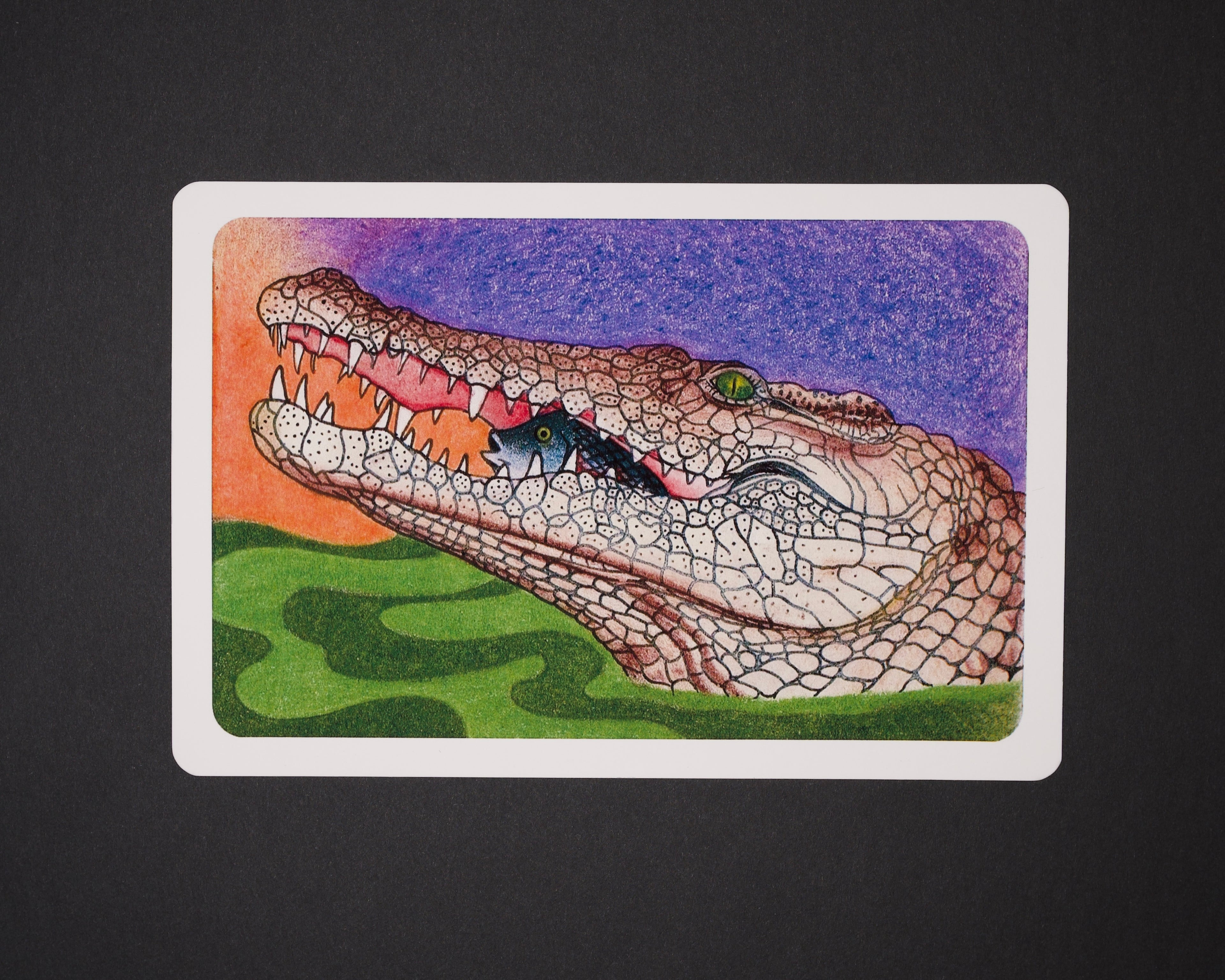 Croc & Fish