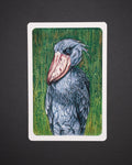 Shoebill Stork